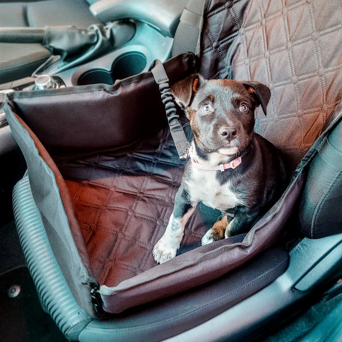 Adventure Car Seat Protector for Dogs - Front Seat Charlie's Pet Products
