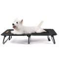 Adventure Foldable Travel Pet Cot Black Charlie's Pet Products