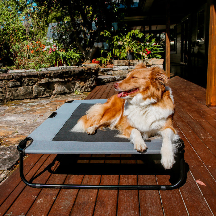 Adventure Foldable Travel Pet Cot Grey Charlie's Pet Products