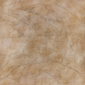 AMBER SILVERLEAF (DNO)