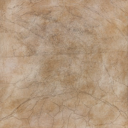 AMBER SILVERLEAF (DNO)