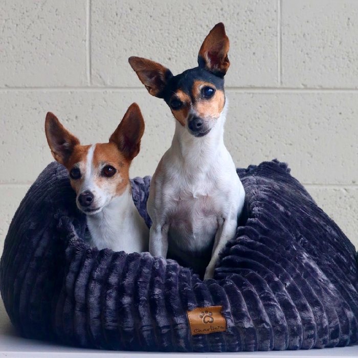 Ascher Plush Corduroy Square Pet Nest Bed - Dark Grey Charlie's Pet Products
