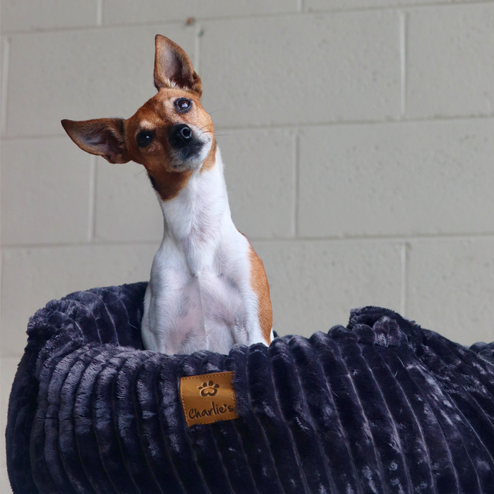 Ascher Plush Corduroy Square Pet Nest Bed - Dark Grey Charlie's Pet Products