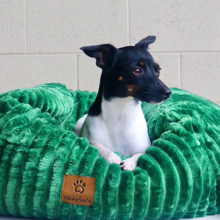 Ascher Plush Corduroy Square Pet Nest Bed - Eden Green Charlie's Pet Products