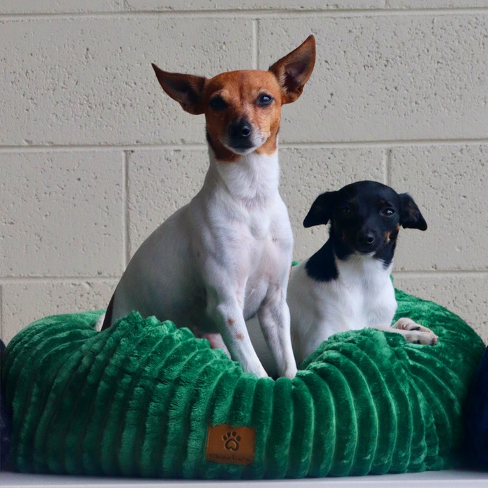 Ascher Plush Corduroy Square Pet Nest Bed - Eden Green Charlie's Pet Products