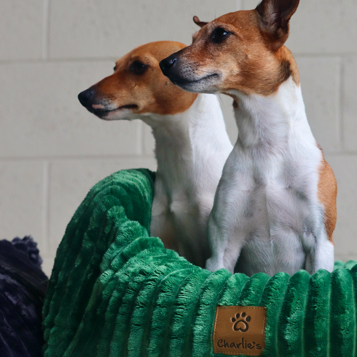 Ascher Plush Corduroy Square Pet Nest Bed - Eden Green Charlie's Pet Products