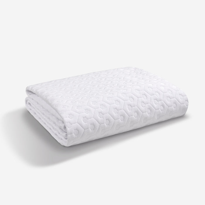 BEDGEAR Dri-Tec Queen Mattress Protector