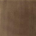 BRUSHED GOLD PAINT