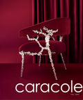 Caracole Fall 2024 Catalog - Box of 40