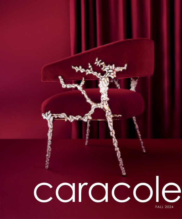 Caracole Fall 2024 Catalog - Box of 40