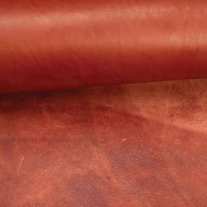 CHAHINLEATHER® English Bridle Leather, Double Shoulders
