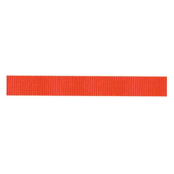 Classic Nylon Webbing, 1"
