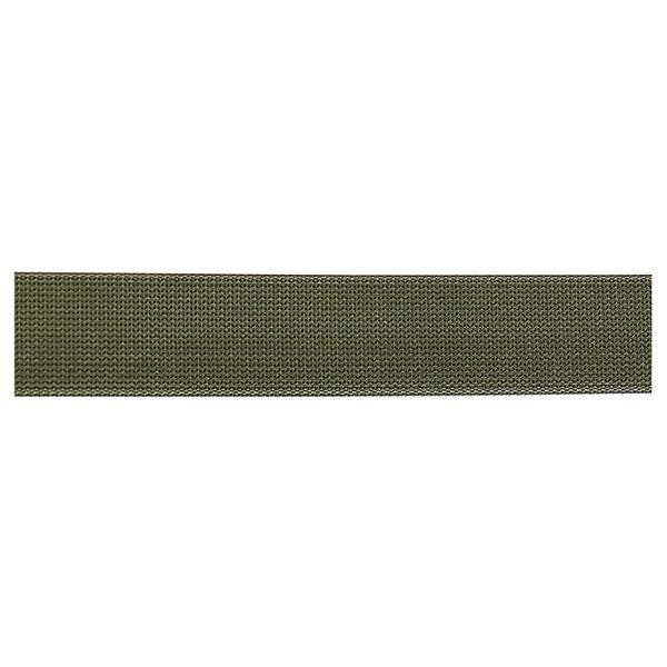 Classic Nylon Webbing, 2"