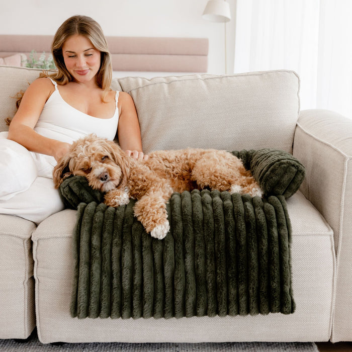 Cloud Bolster Sofa Protector Dog Bed Olive Charlie's Pet Products