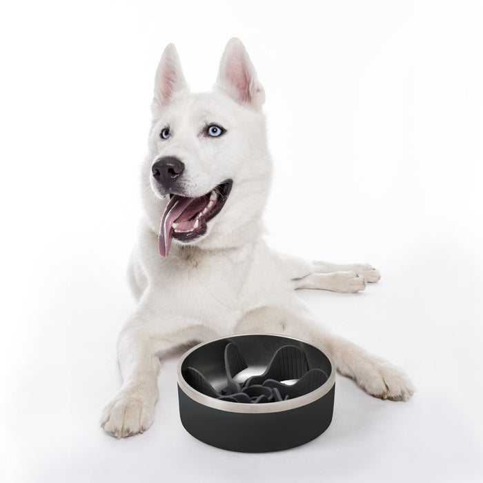 Duro Double Wall Stainless Steel Dog Bowl with Removable Slow Feeder Attachment Black Charlie's Pet