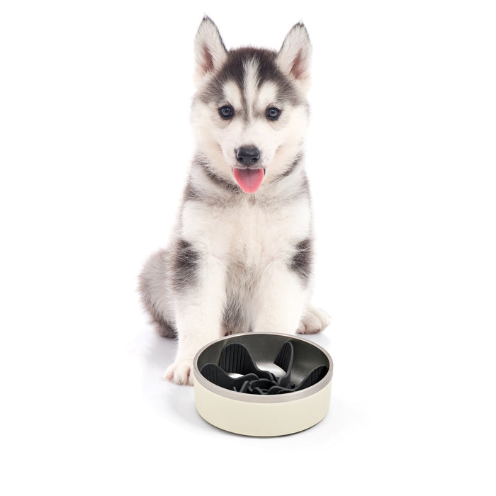Duro Double Wall Stainless Steel Dog Bowl with Removable Slow Feeder Attachment Cream Charlie's Pet