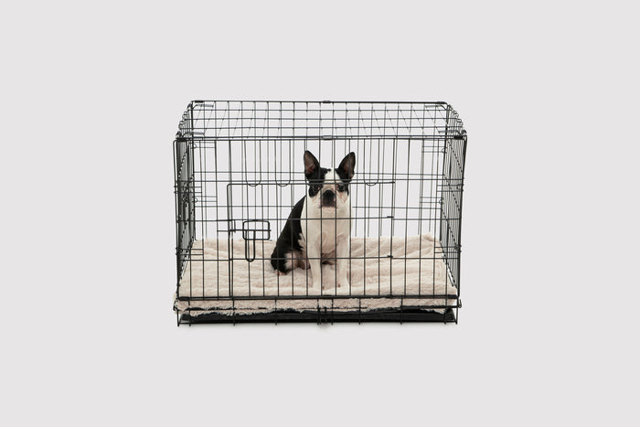 Essential Faux Fur Padded Pet Mattress and Crate Pad - Beige Charlie's Pet Products