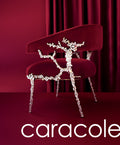 Fall 2024 Caracole Catalog