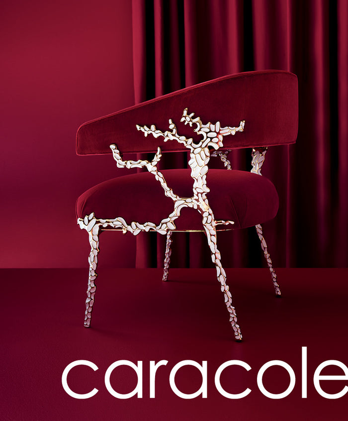 Fall 2024 Caracole Catalog
