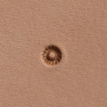 Floral Seeder Stamping Tool