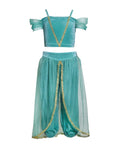 Joy Costumes Arabian Princess