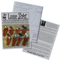 Lone Star Holster Pattern by Will Ghormley
