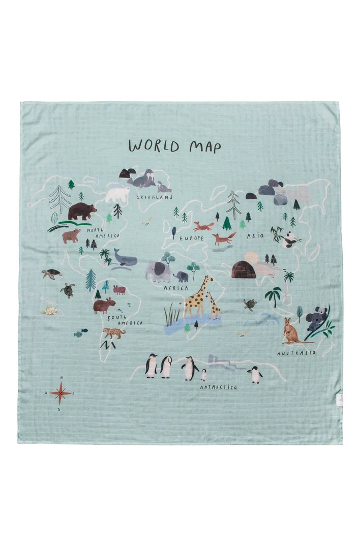 World Map