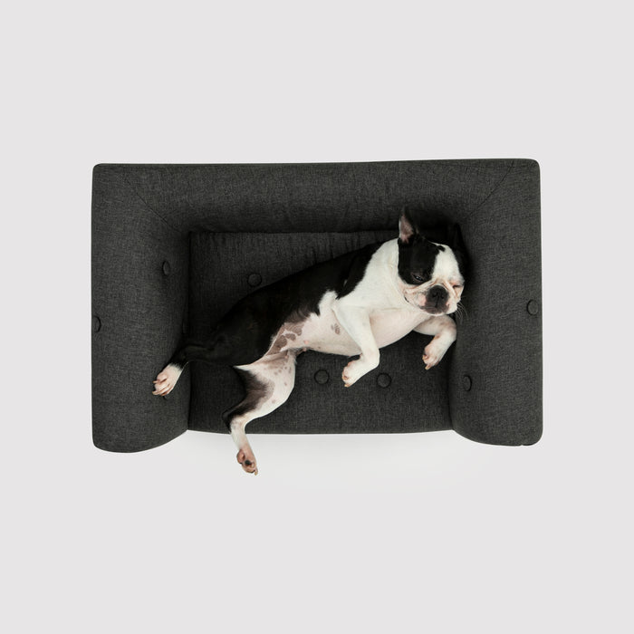Luxe Button Pet Sofa - Charcoal Charlie's Pet Products