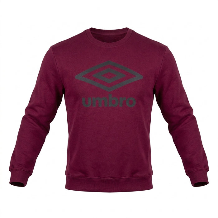 Men Logo Crew Neck Sweatshirt