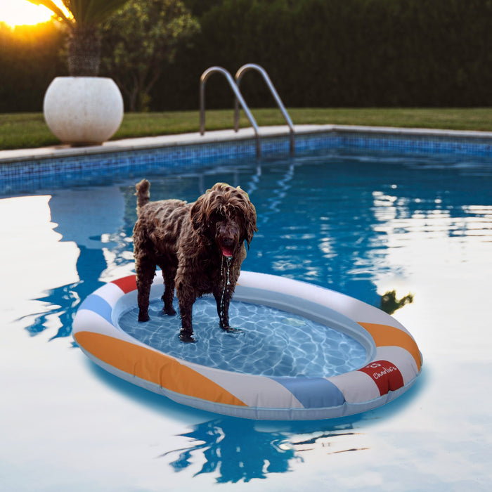 Pet Floaties - Beach ball Charlie's Pet Products