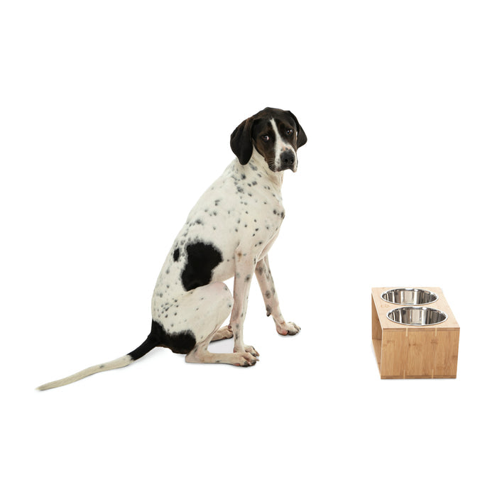 Raised Bamboo Feeder with Dual Steel Bowls Charlie's Pet Products