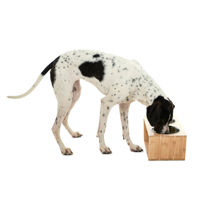 Raised Bamboo Feeder with Dual Steel Bowls Charlie's Pet Products