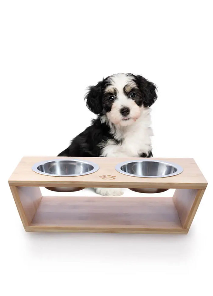 Raised Bamboo Feeder Charlie's Pet Products