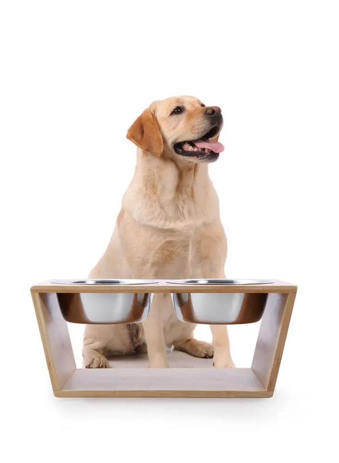 Raised Bamboo Feeder Charlie's Pet Products