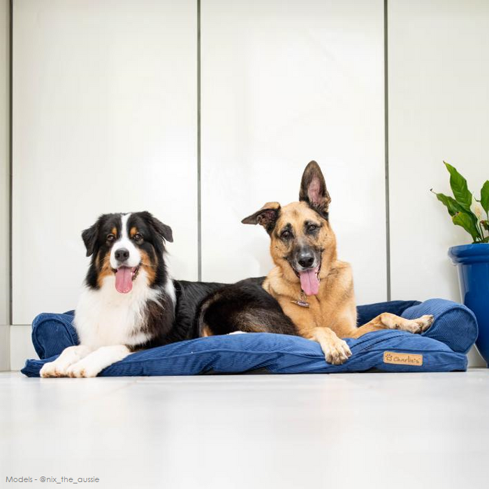 Ripley Corduroy Pet Sofa Bed - Navy Charlie's Pet Products