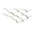 Seagull Sculpture Metal Wall Decor