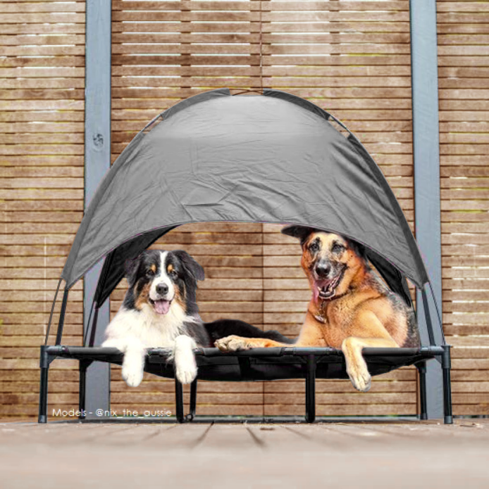 Shadey Trampoline Hammock Tent Pet Bed Charlie's Pet Products