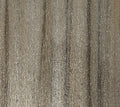 SILVER BURST