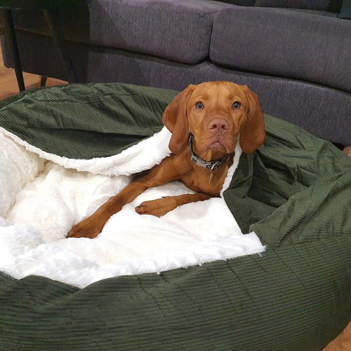 Snookie Hooded Pet Bed in Corduroy - Dark Olive Green Charlie's Pet Products