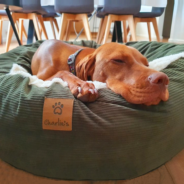 Snookie Hooded Pet Bed in Corduroy - Dark Olive Green Charlie's Pet Products