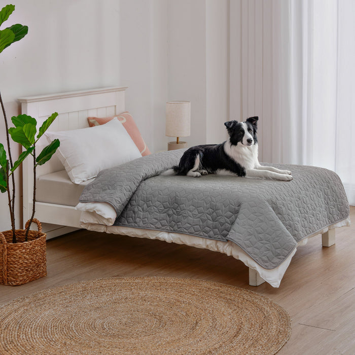 Charlie's Sofur Waterproof Dog Couch and Bed Protector 76x178cm Grey Charlie's Pet Products