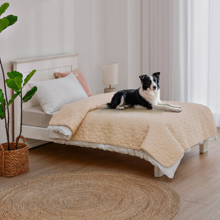 Charlie's Sofur Waterproof Dog Couch and Bed Protector 76x178cm Oat Charlie's Pet Products