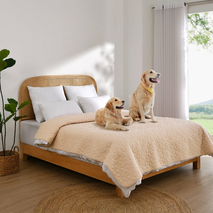 Charlie's Sofur Waterproof Dog Couch and Bed Protector 76x178cm Oat Charlie's Pet Products