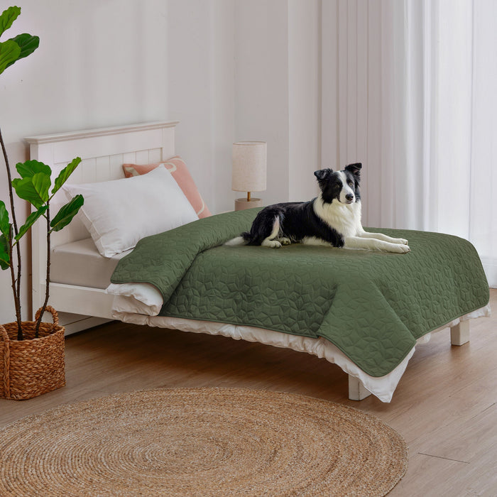 Charlie's Sofur Waterproof Dog Couch and Bed Protector 76x178cm Olive Charlie's Pet Products