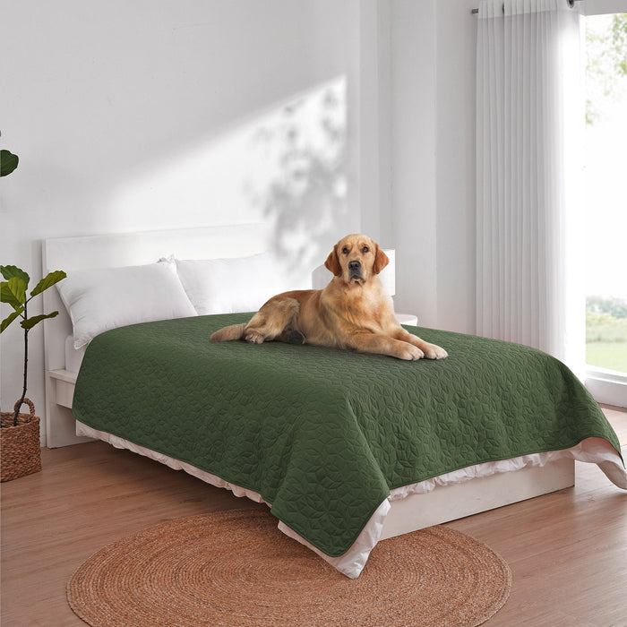 Charlie's Sofur Waterproof Dog Couch and Bed Protector 76x178cm Olive Charlie's Pet Products