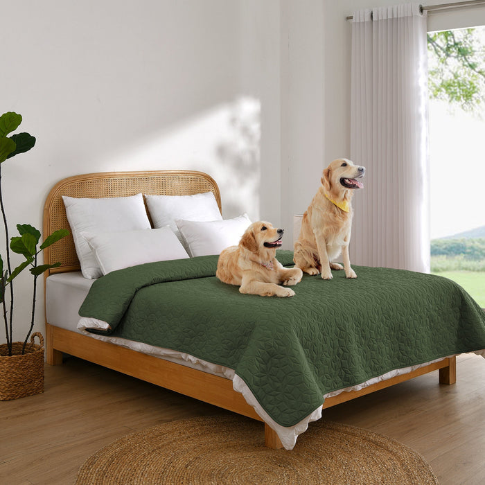 Charlie's Sofur Waterproof Dog Couch and Bed Protector 76x178cm Olive Charlie's Pet Products