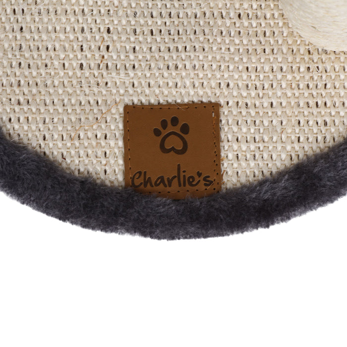 Springy Cat Scratcing Post with Pompom Teaser Toy Charlie's Pet Products