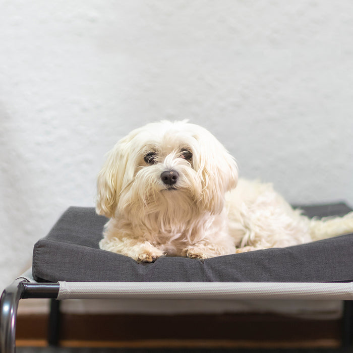 Summer Waterproof Pet Mattress Charlie's Pet Products
