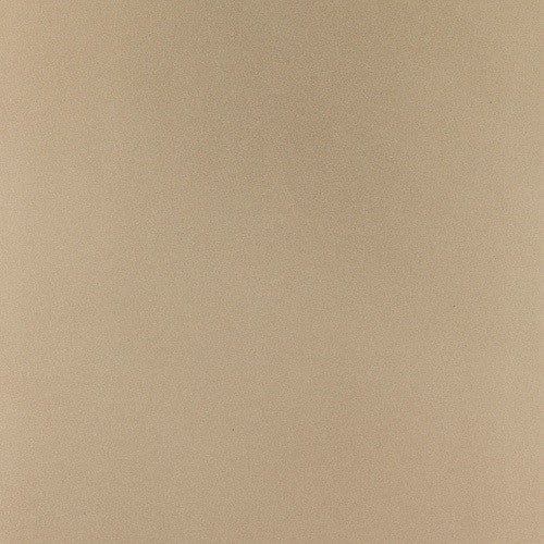 TAUPE PAINT