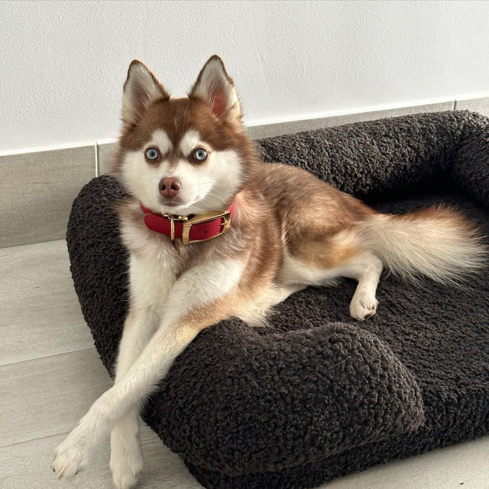 Teddy Fleece Memory Foam Sofa Pet Bed with Bolster - Charcoal Charlie's Pet Products